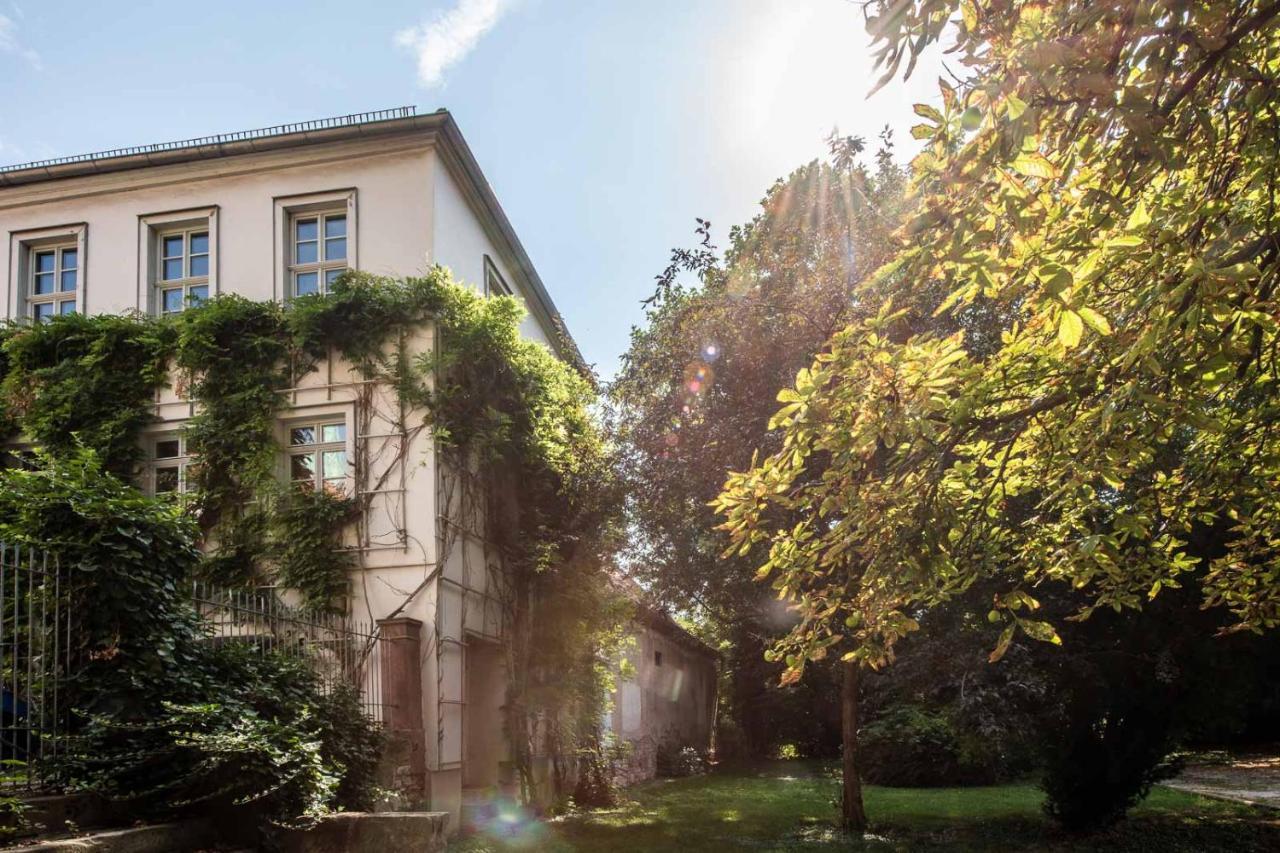 Ferienwohnung Am Dom Наумбург Экстерьер фото